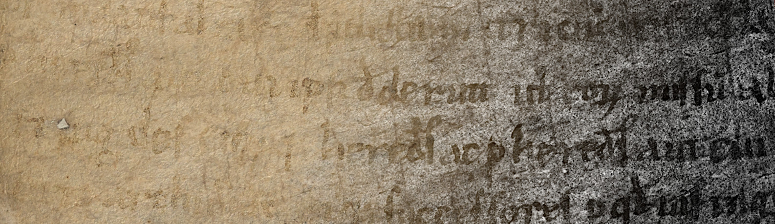 Immagine che mostra una pergamena alla luce visibile e ultravioletta riflessa ed il testo che diventa leggible con quest'ultima.